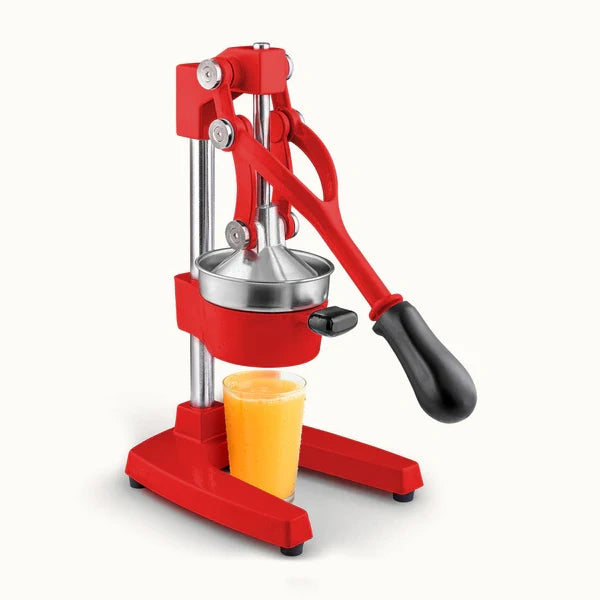 HEAVY-DUTY MANUAL JUICE PRESS