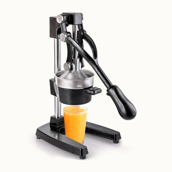 HEAVY-DUTY MANUAL JUICE PRESS