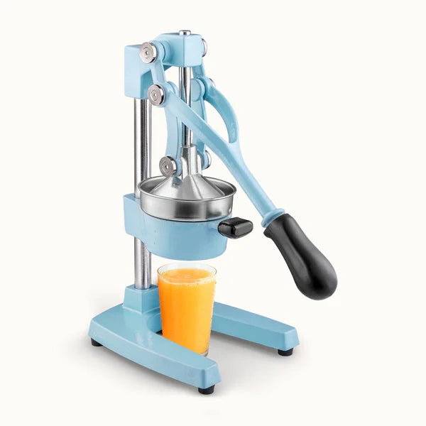 HEAVY-DUTY MANUAL JUICE PRESS