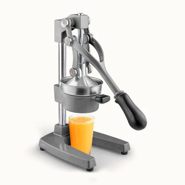 HEAVY-DUTY MANUAL JUICE PRESS